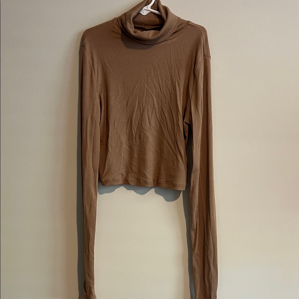 Aritzia Brown Long Sleeve Turtleneck